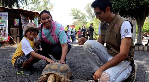 Día del Niño 2024 Qué días entran gratis los niños al Zoológico de