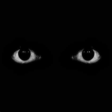 Create Meme Black Background Darkness Eyes In The Dark Pictures