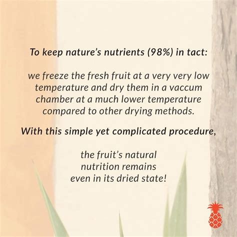 Zejun Just Dragon Fruit Freeze Dried Fruit Crisps By Justfruit 30g