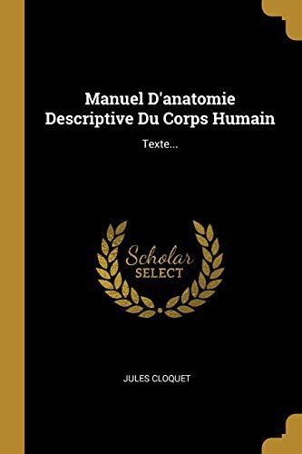 Manuel D Anatomie Descriptive Du Corps Humain Texte Cloquet