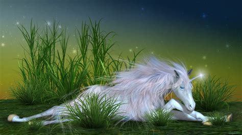 Enchanting Unicorn Fantasy Hd Wallpaper