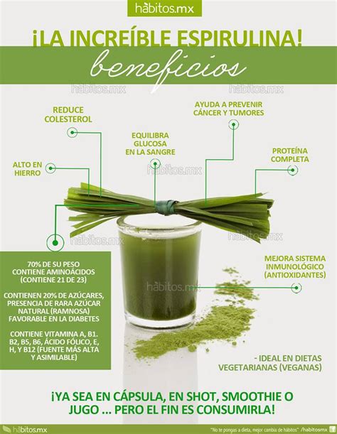 BENEFICIOS DE LA SPIRULINA Espirulina Consejos Para La 40 OFF