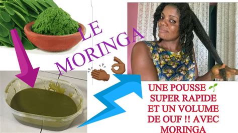 57 MASQUE AU MORINGA POUR POUR UNE POUSSE RAPIDE ET DES CHEVEUX