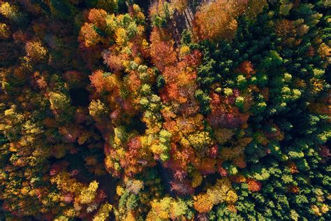 Comment Bien Vivre L Automne