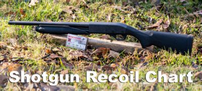 Shotgun Recoil Chart | AmmoForSale.com