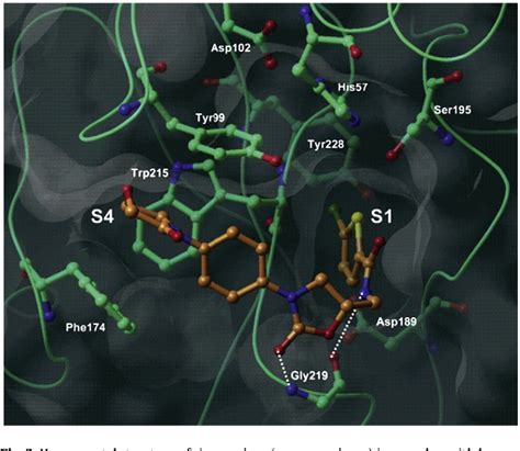 Figure 2 from The mechanism of action of rivaroxaban--an oral, direct Factor Xa inhibitor ...