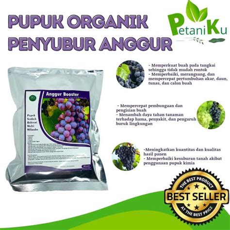 Pupuk Anggur Cepat Berbuah Besar Komplit Lengkap Penyubur Daun Dan Buah