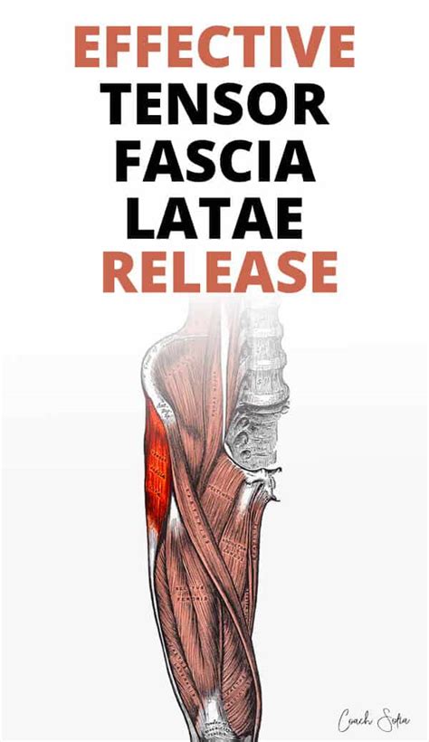 Tensor Fasciae Latae Trigger Point