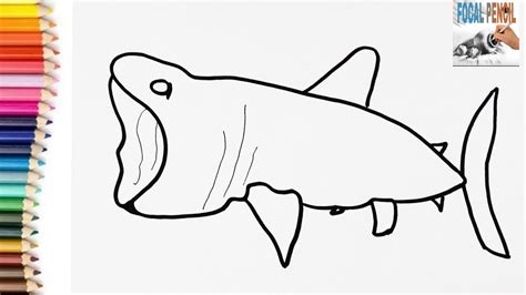 how to draw a basking shark step by step - resisteaec