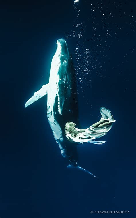 Humpback Whales Hannah Mermaid