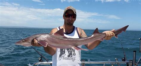 Shark Fishing With Sharkmen Fishing Charters Victoria Sharkmen