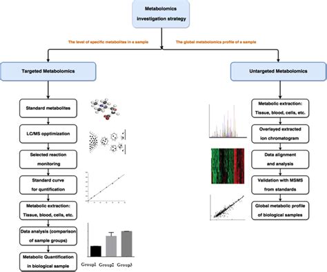 The Targeted And Untargeted Workflow For Lc‐ms Based Metabolomics