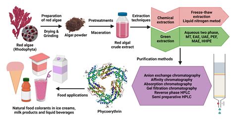 Red Algae Diagram