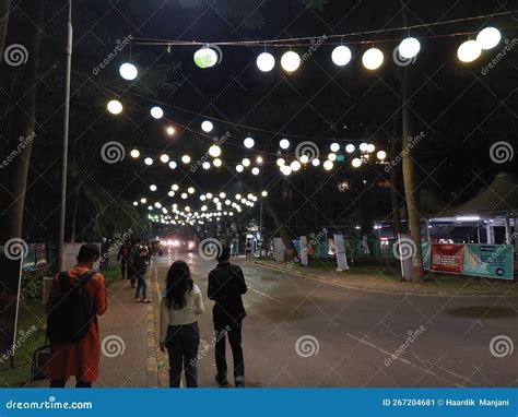 IIT Bombay Techfest Night Street View with Decorations, Indian Institute of Technology Bombay ...