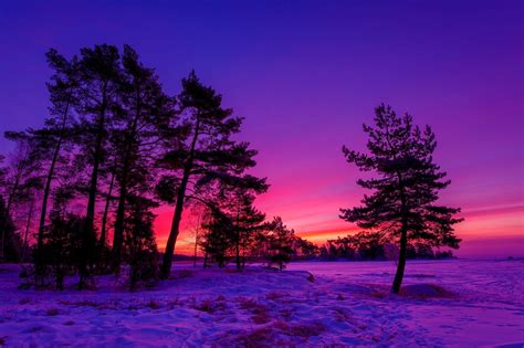 Purple Winter Wallpapers Wallpaper Cave