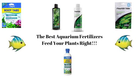 Best Aquarium Plant Fertilizers - Feed Your Plants Right! 🏅 ...