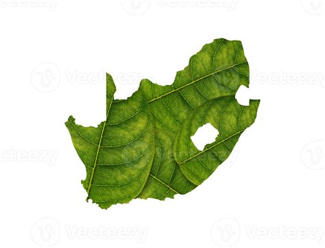 South Africa Map Made Of Green Leaves Ecology Concept 27720803 PNG