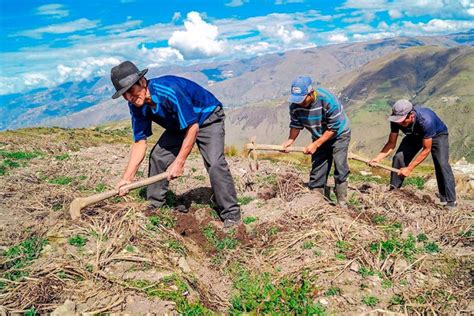 De Junio D A Del Campesino Noticias Direcci N Regional De