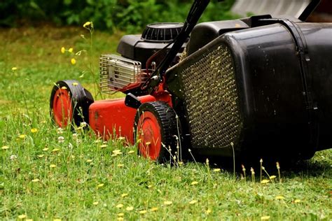 Rasen pflegen im Spätsommer