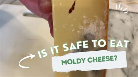 Is It Safe To Eat Moldy Cheese Video Good Eats 101