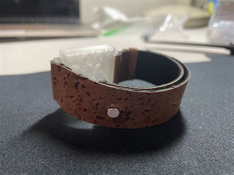 UC Davis 2024 — Biodesign Challenge