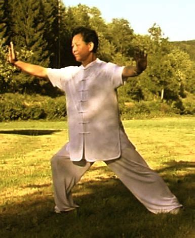 Chansi Gong Taiji Qigong Chansi Chen Style Taiji Quan Lyon