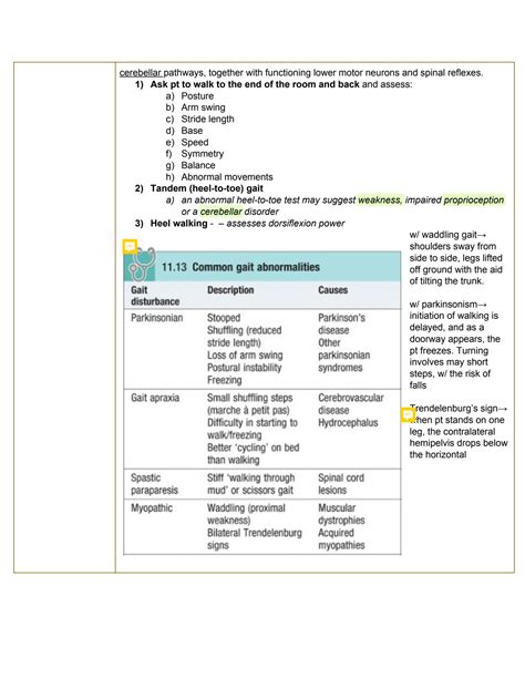 SOLUTION Lower Limb Neuro Exam Studypool