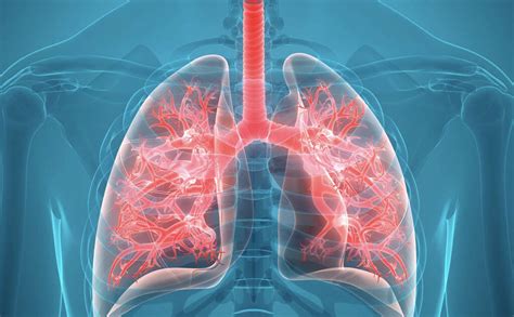 Acute Bronchitis: What Is Acute Bronchitis?