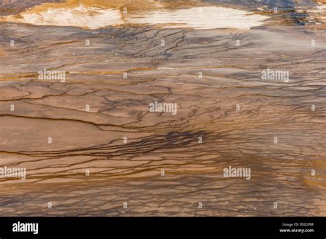 Wave Structure Mineral Deposits At The Edge Of The Hot Spring Detail