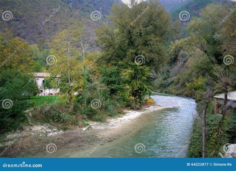 Fiume Della Montagna In Mezzo Alla Foresta Verde In Italia Immagine