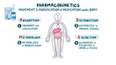 Pharmacokinetics Metabolism Nursing Pharmacology Video Causes And Meaning Osmosis