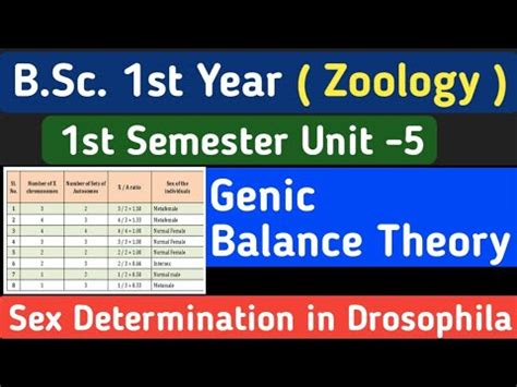 Sex Determination Genic Balance Theory In Hindi Genic Balance Theory Sex Determination In