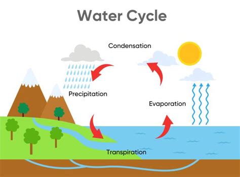 280+ Evaporation Clip Art Stock Illustrations, Royalty-Free Vector ...