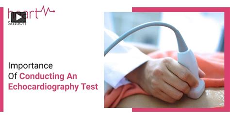 Ppt Importance Of Conducting An Echocardiography Test Powerpoint