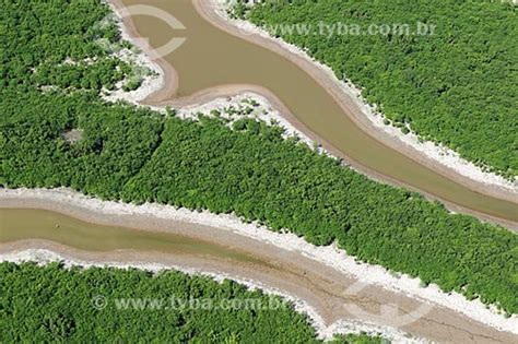 Tyba Online Assunto Foto Aérea Do Rio Manacapuru Durante A época Da