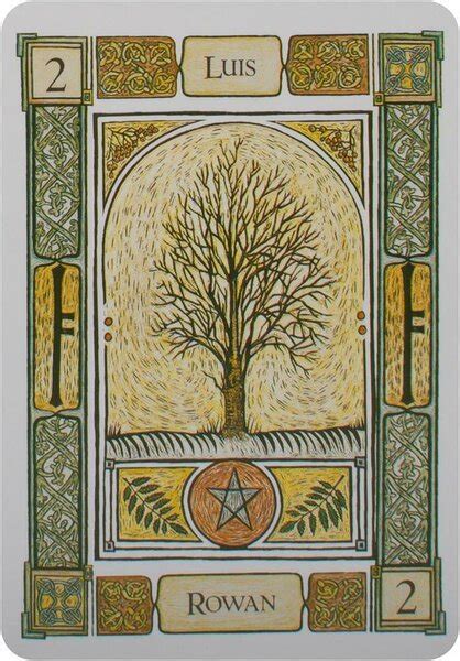 The Celtic Tree Oracle Kaina Pigu Lt