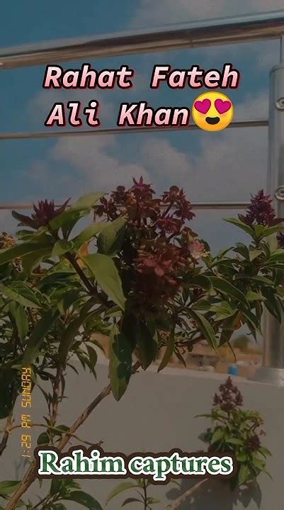 Kesa Ye Isq Haii ️😫rahat Fateh Ali Khan 🙃 ️close View To Plants🕊️