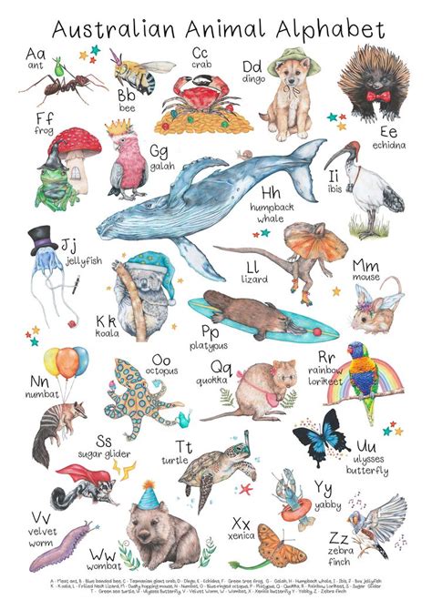 Australian Animal Alphabet Poster A3 and A2 Hand Drawn - Etsy Canada ...