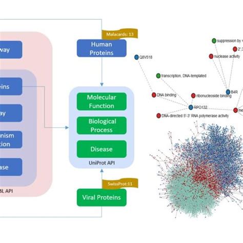 schematic representation   kg workflow left  visualization