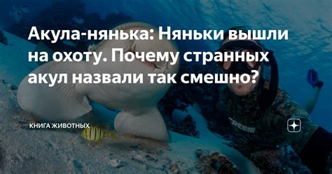Акула-нянька: Няньки вышли на охоту. Почему странных акул назвали так ...