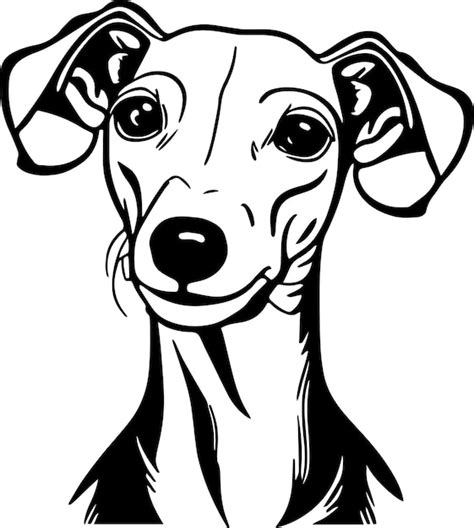 Cara De Perro Galgo Italiano Aislada En Un Fondo Blanco Svg Vector