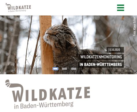 Wildkatze Jagd Im Stromberg