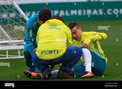 Sao Paulo Brazil 09th Sep 2016 TREINO DO PALMEIRAS In The Picture