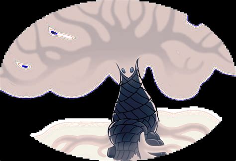 white lady hollow knight wiki fandom