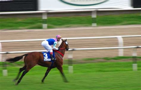 Hipódromo de San Isidro in Buenos Aires: 10 reviews and 39 photos