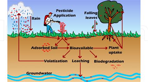 Persistent Organic Pollutants