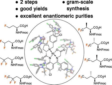 Gram Scale Asymmetric Synthesis Of Fluorinated Amino Acids Using A