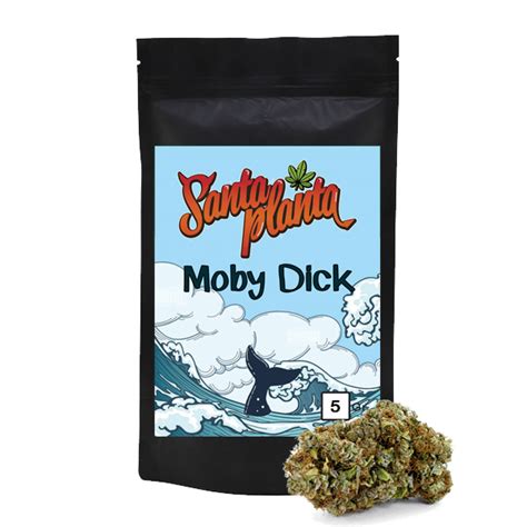 Moby Dick Gr Santa Planta Santaplanta Grow Shop