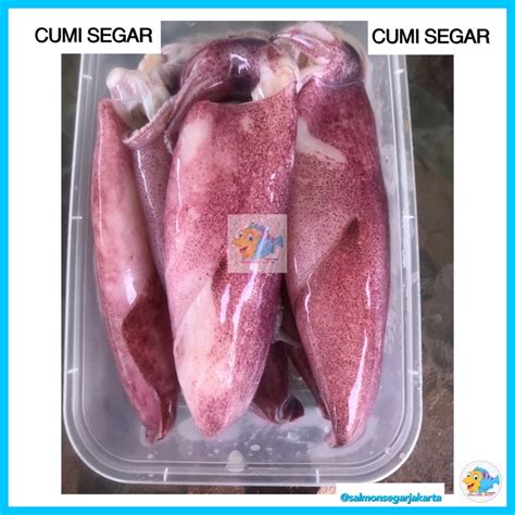 Jual Cumi Bangka Segar Cumi Jumbo Segar 500gr Shopee Indonesia