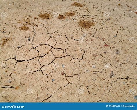 Cracked Of Dry Soil In Arid Season Dry Cracked Earth Texture Stock